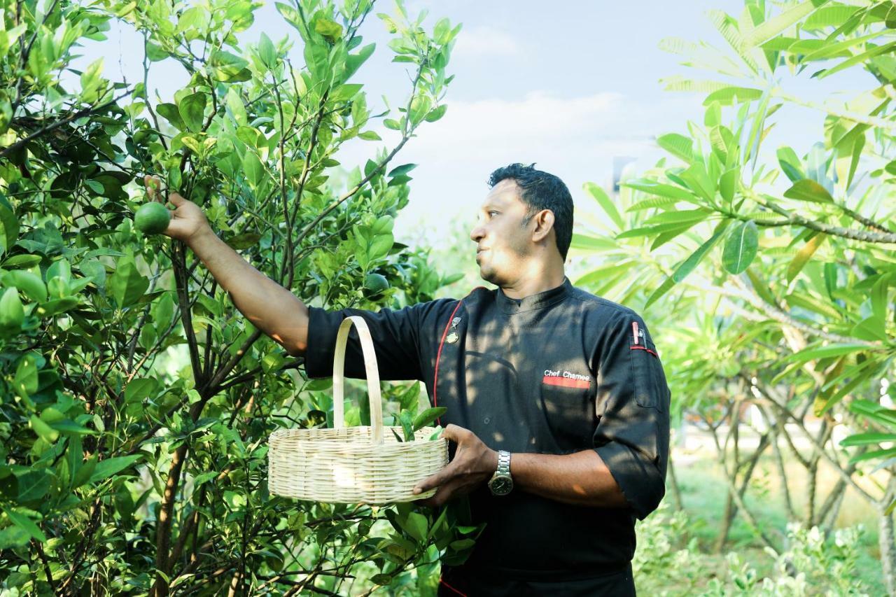 Avasta Resort And Spa Anuradhapura Bagian luar foto